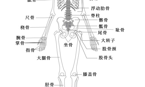 孕妇排骨汤怎么做有营养-【孕妇排骨汤怎么做有营养】孕妇吃的排骨汤怎么做的 - 孕妇吃的排骨汤怎么做网